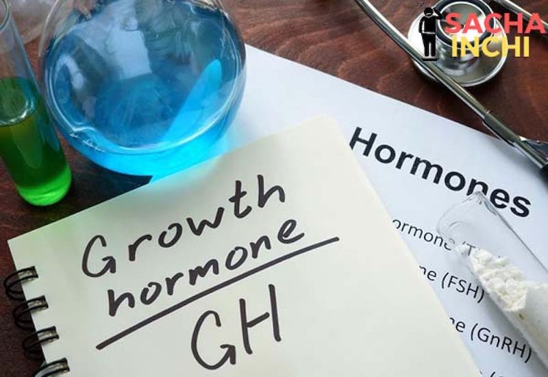 Những bệnh liên quan đến thiếu hormone tăng trưởng?
