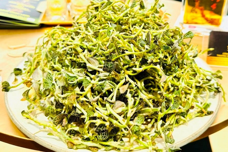 Dược liệu lan kim tuyến có mặt trong nhiều bài thuốc chữa bệnh