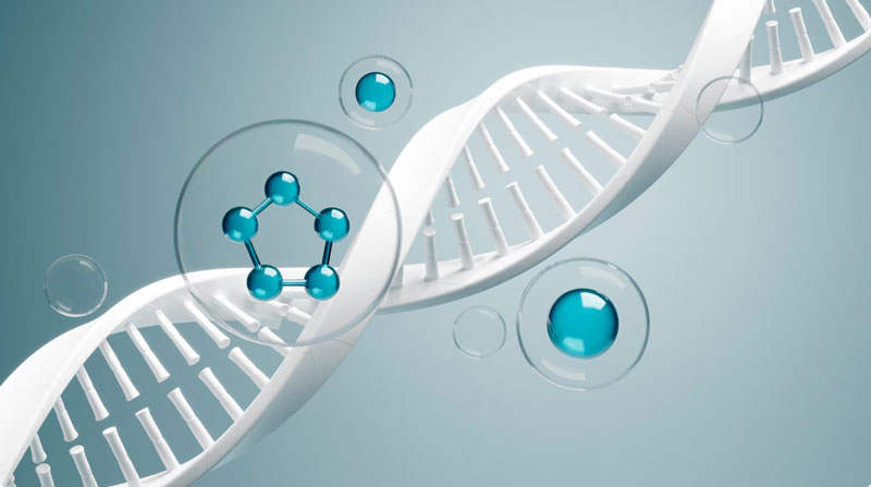 Khi cần xin cấp khai sinh nhưng cha mẹ chưa kết hôn, trẻ cần làm xét nghiệm ADN