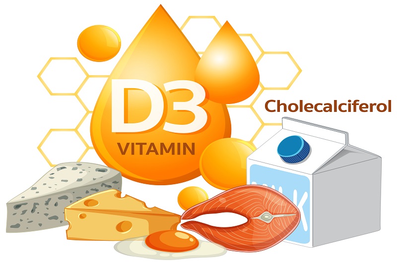 Vitamin D3 có nhiều vai trò đối với các hoạt động sống của cơ thể