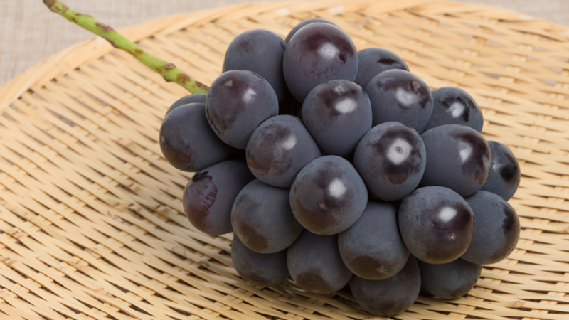 Rượu ngâm với nho đen được cho là rất tốt cho sức khỏe tim mạch