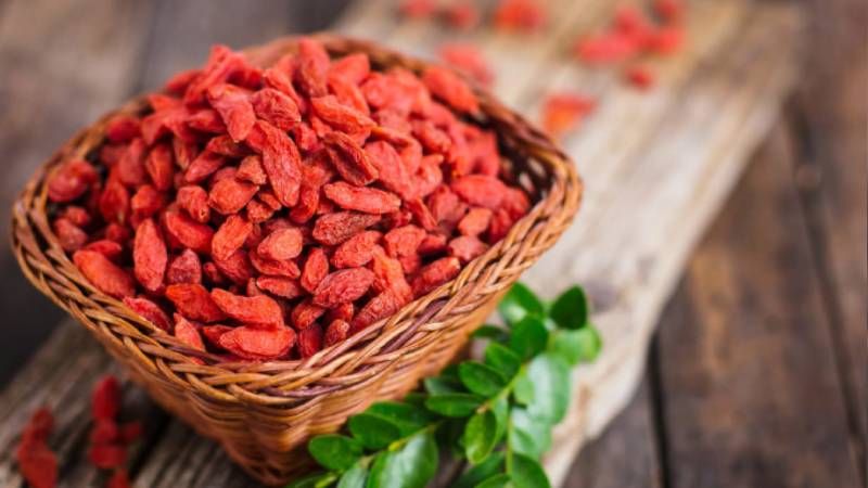 Bạn nên uống kỷ tử vào buổ sáng hoặc chiều để cơ thể hấp thụ tốt hơn