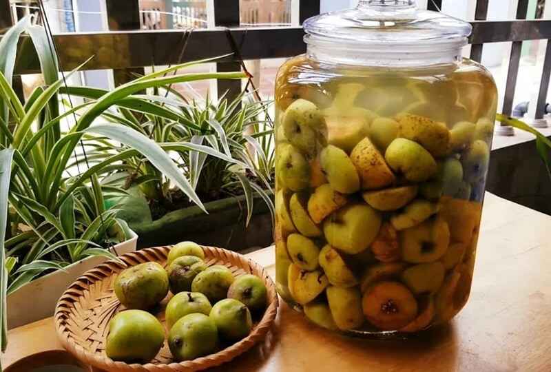 Nước táo mèo giúp tăng cường chức năng tiêu hóa và thúc đẩy lưu thông máu