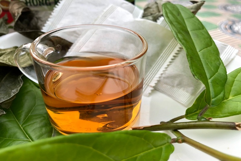 Xạ đen có thể sắc nước hoặc hãm trà để uống