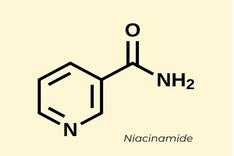 Niacinamide là dẫn xuất của vitamin B3 có nhiều công dụng đối với quá trình chăm sóc da