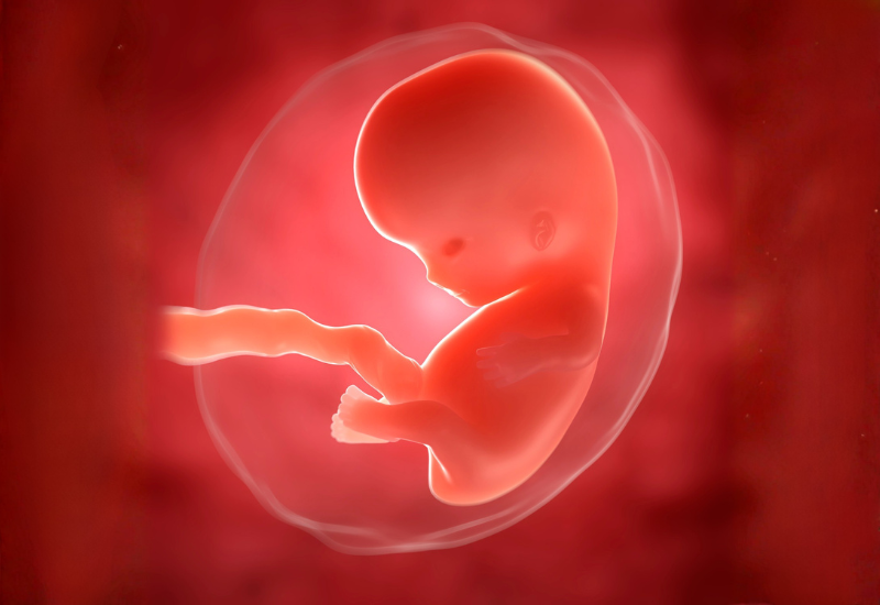 Nước ối là chất lỏng bên trong túi ối, bao quanh thai nhi trong buồng tử cung