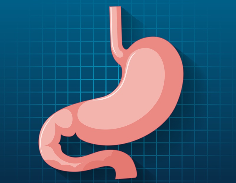 HP là nguyên nhân gây viêm loét dạ dày phổ biến 