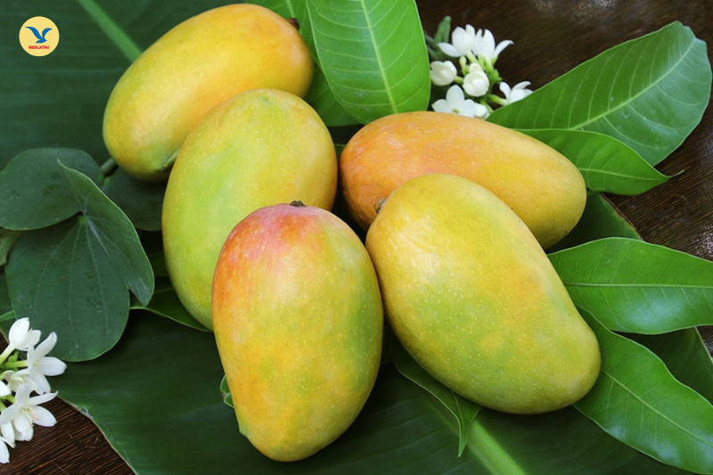 Theo kinh nghiệm dân gian, ăn quả muỗm chín giúp tăng cảm giác thèm ăn