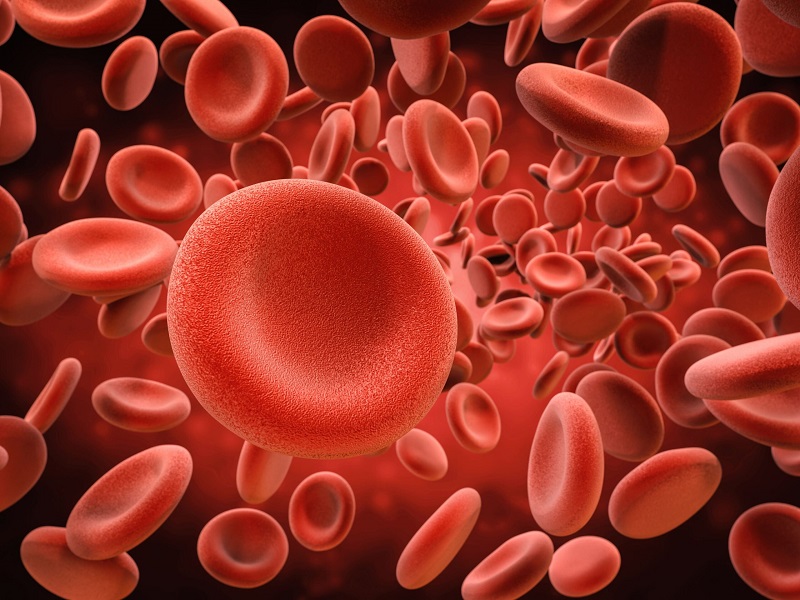 Làm sao giảm hồng cầu trong máu?