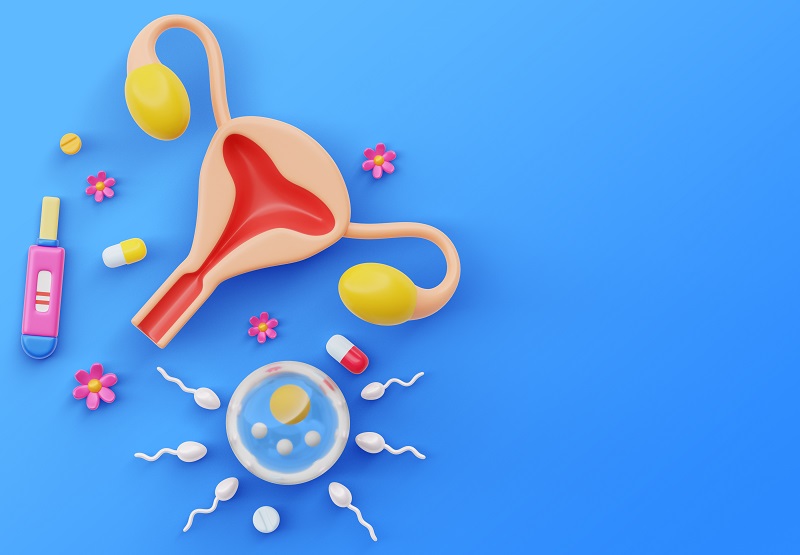 Estrogen được sản xuất chủ yếu ở buồng trứng