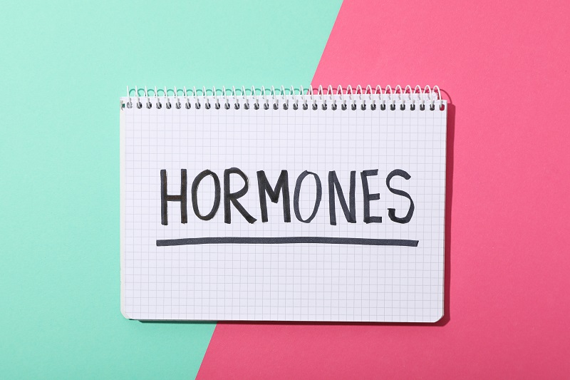 Một số loại trái cây có thể gây mất cân bằng hormone làm phụ nữ cảm thấy khó chịu hơn trong kỳ kinh