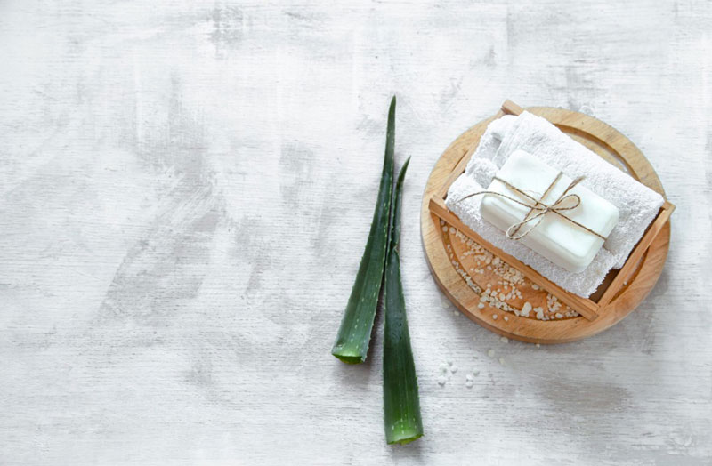 Gội đầu với nha đam có thể giảm tình trạng hình thành gàu