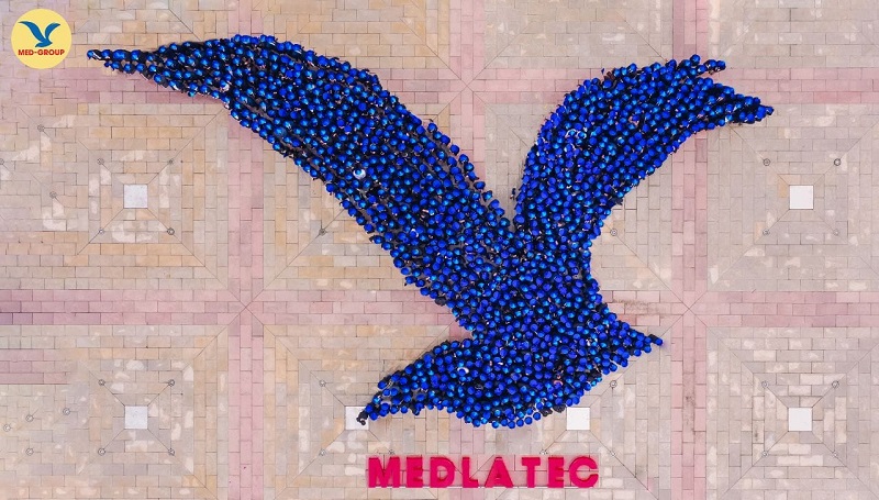 Bài thơ được viết theo phong cách lối kể chuyện, với thể thơ lục bát. Sử dụng các hình ảnh ẩn dụ như gieo hạt giống, ươm mầm, đâm chồi nảy lộc, cây đại thụ, kết hợp với hình ảnh cánh chim Hải Âu để thể hiện hành trình xây dựng, phát triển tập đoàn Medlatec từ những ngày đầu khó khăn, gian nan, vất vả cho đến ngày vinh quang, rực rỡ. Bên cạnh đó thể hiện tinh thần người Med, tinh thần đoàn kết, uống nước nhớ nguồn, tôn sư trọng đạo,...