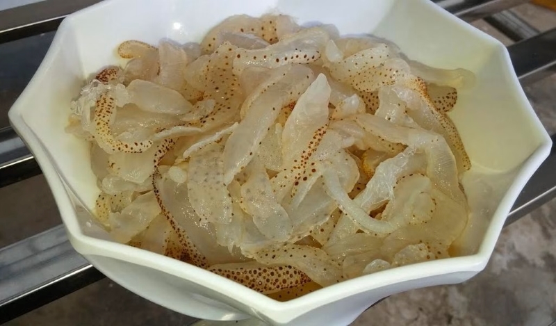 Sứa có thành phần chủ yếu là nước 