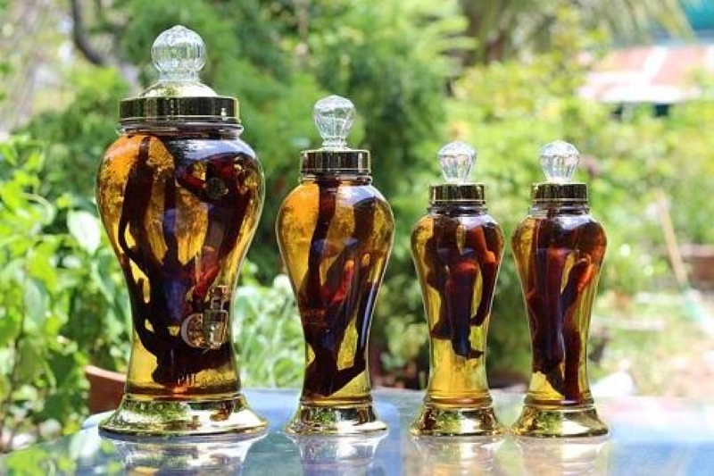 Cây thiên niên kiện có thể được ngâm kèm rượu dùng để xoa bóp 
