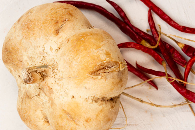 Củ đậu rất giàu chất dinh dưỡng