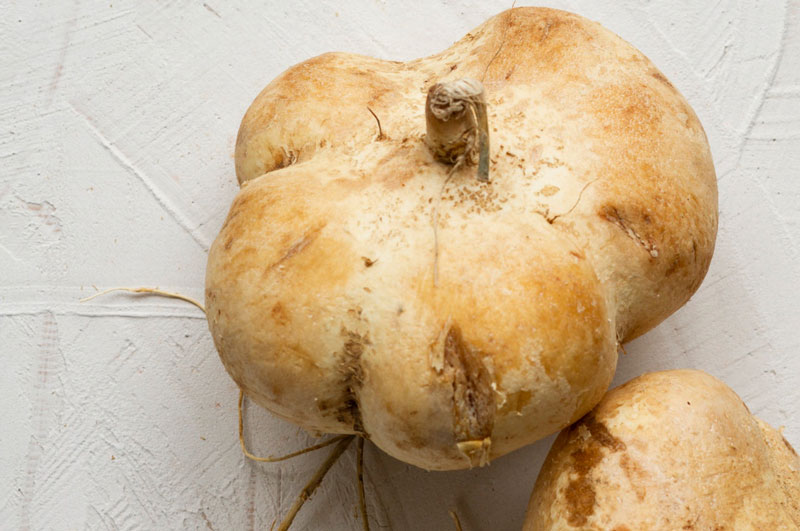 Chất xơ trong củ đậu có thể giúp nuôi dưỡng lợi khuẩn, cải thiện hiệu quả hoạt động của đường tiêu hóa