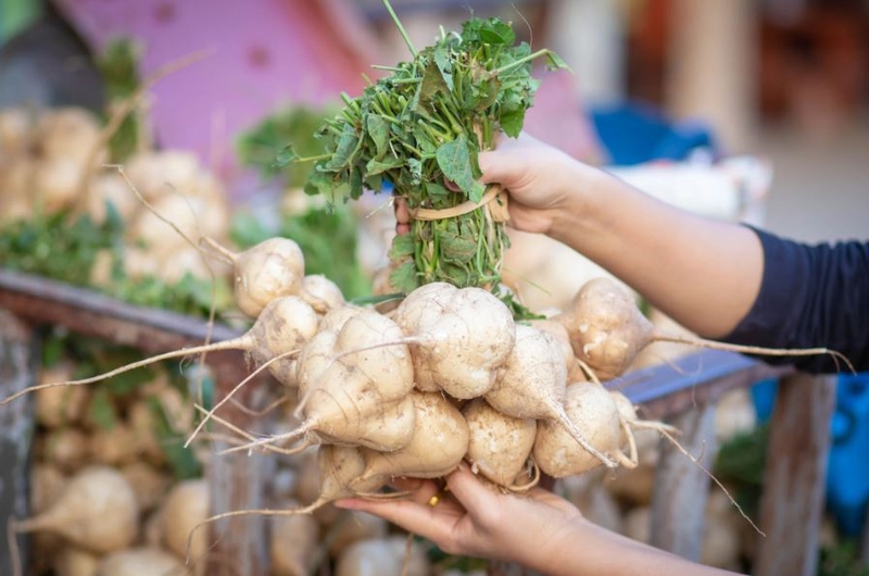 Bạn nên ưu tiên lựa chọn củ đậu tươi, chưa mọc mầm