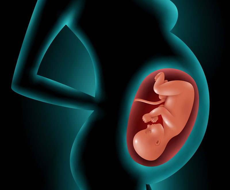 Thai nhi lớn khiến khung chậu mẹ chịu áp lực lớn, gây đau xương mu