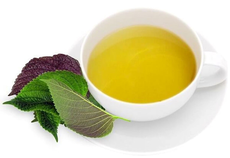 Phương pháp chữa bệnh gút bằng lá tía tô chỉ mang tính chất hỗ trợ 