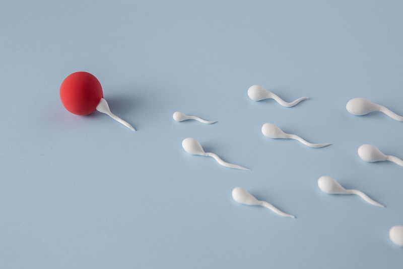 Chất lượng tinh trùng ảnh hưởng đến khả năng thụ thai