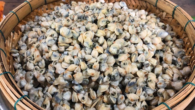 Hến có chứa nhiều dưỡng chất