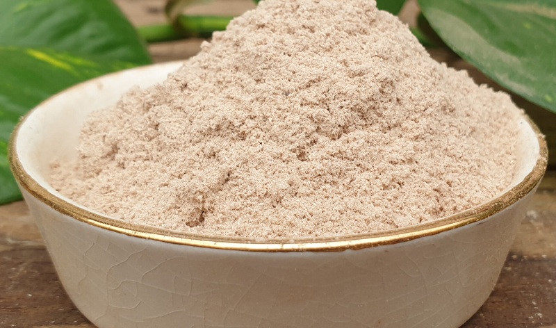 Bột gỗ bời lời được nghiền nát để sử dụng làm nụ đốt thiên nhiên