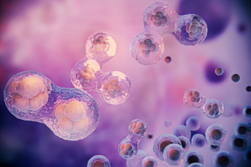 Tế bào gốc – nguồn nguyên liệu quan trọng trong tái tạo da và điều trị mụn.