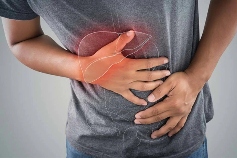 Người mắc bệnh gan - thận mạn tính không nên tự ý sử dụng cây bòn bọt 