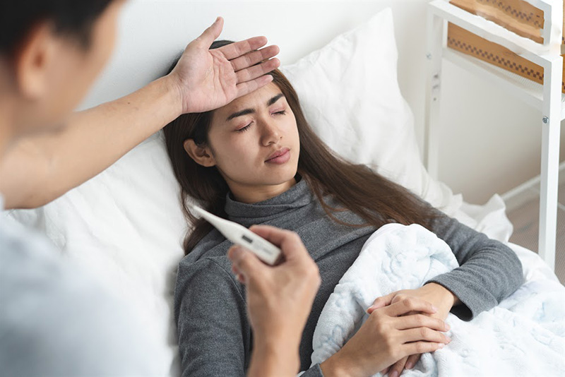 Cây ký ninh được cho là có tác dụng điều trị sốt và sốt rét 