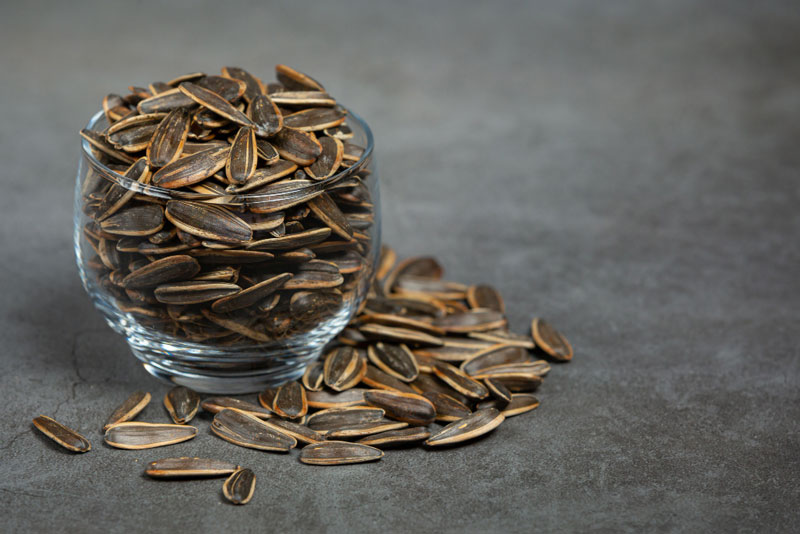 Hạt hướng dương là loại thực phẩm bổ dưỡng giàu chất béo lành tính