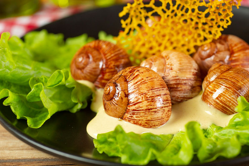 Mẹ bầu 3 tháng không có tiền sử dị ứng có thể ăn ốc