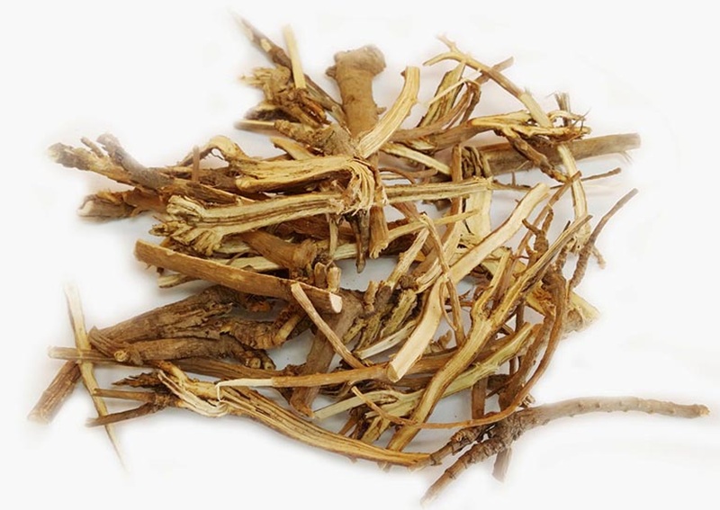 Rễ sài hồ được dùng để làm dược liệu chữa bệnh
