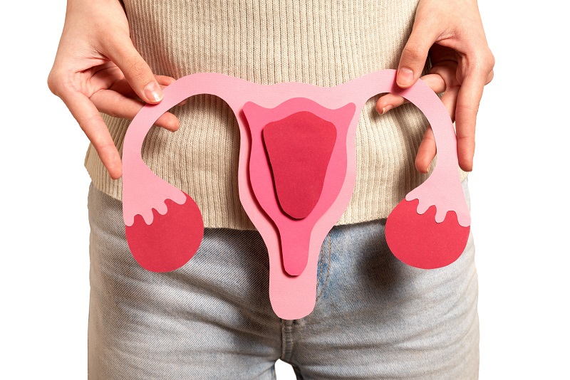 Khí hư là dịch tiết từ cổ tử cung và âm đạo của nữ giới