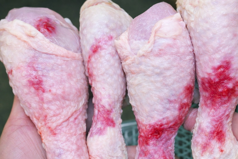 Hình ảnh thịt gà mắc tụ huyết trùng 