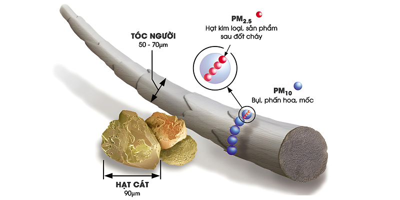 Bụi mịn PM2.5 có kích thước rất nhỏ, dễ xâm nhập sâu vào phổi và gây hại cho hệ hô hấp.