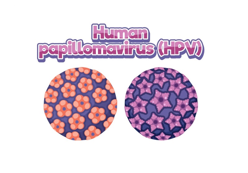 Virus HPV có nhiều chủng trong đó có những chủng làm tăng nguy cơ gây ung thư