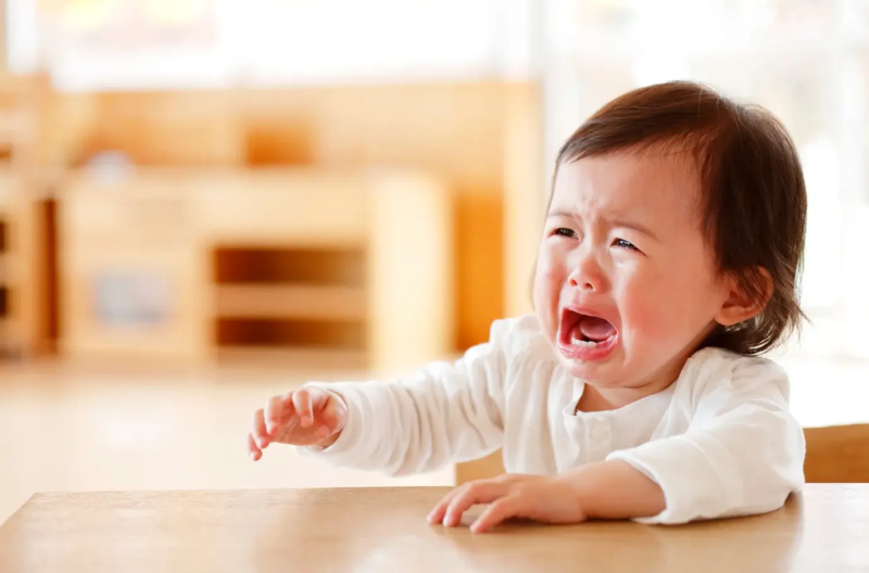 Khủng hoảng tuổi lên 2 là vấn đề khiến không ít phụ huynh phải “đau đầu” trong quá trình chăm sóc con