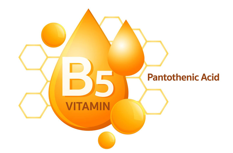 Vitamin B5 có mặt rộng rãi trong tự nhiên và thiết yếu cho việc sản sinh năng lượng của mọi tế bào sống