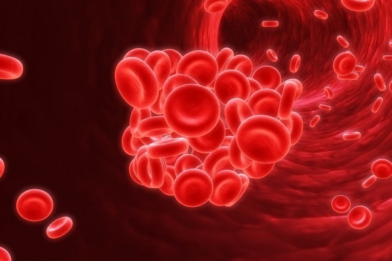 Huyết vận là gì và tại sao nó quan trọng trong quá trình tuần hoàn máu?
