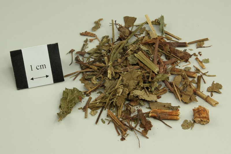 Phần trên mặt đất của cây long nha thảo sau khi phơi hoặc sấy khô được dùng làm dược liệu.