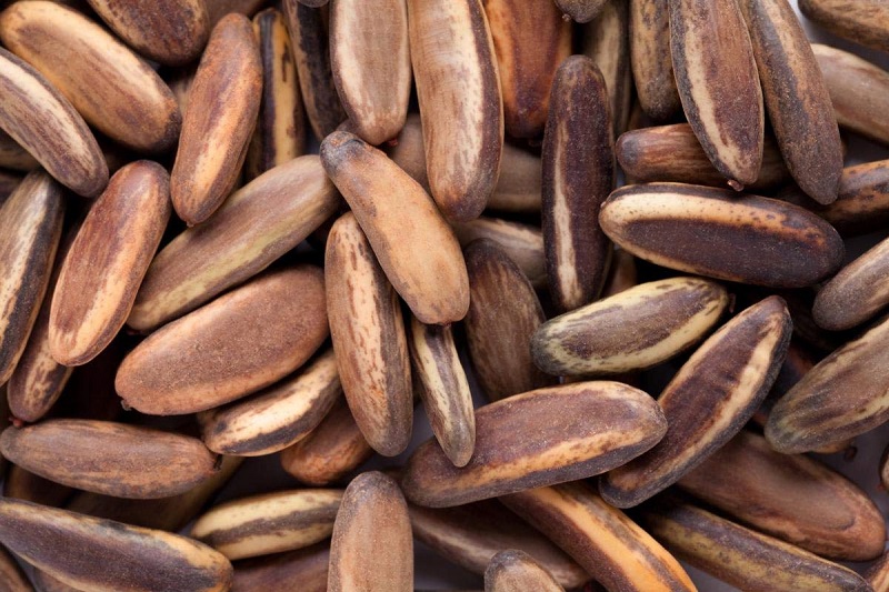 Không nên ăn hạt phượng để tránh các nguy cơ tiềm ẩn