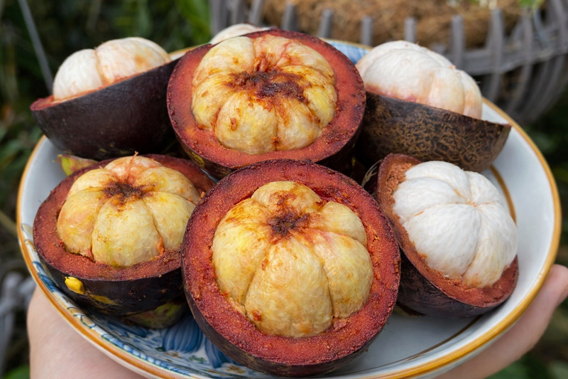 Múi măng cụt chuyển vàng đậm, nâu sậm có thể là biểu hiện quả đã hỏng, không còn an toàn để sử dụng.