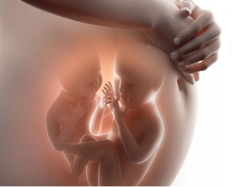 Cân nặng của song thai thay đổi theo từng giai đoạn