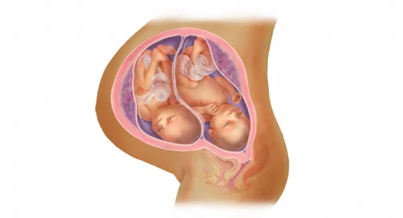 Chỉ số cân nặng có vai trò quan trọng đối với sự phát triển của thai nhi