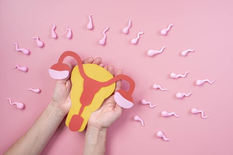 Hiểu rõ về giai đoạn rụng trứng của phụ nữ sẽ tăng cơ hội tránh thai tự nhiên