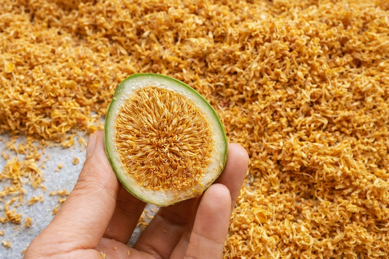 Quả cây trâu cổ chứa nhiều hạt bên trong