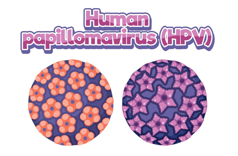 HPV là nhóm virus nguy hiểm dễ gây ung thư tử cung và nhiều bệnh khác ở nữ giới