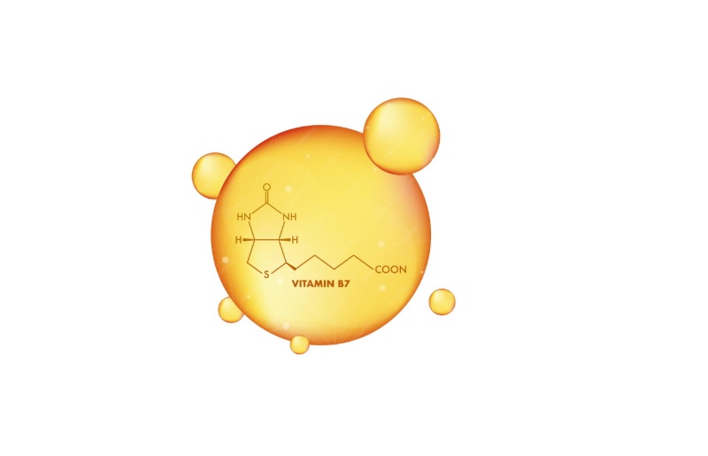 Biotin có thể được cung cấp đầy đủ qua chế độ ăn, rất ít trường hợp cần sử dụng viên uống bổ sung 