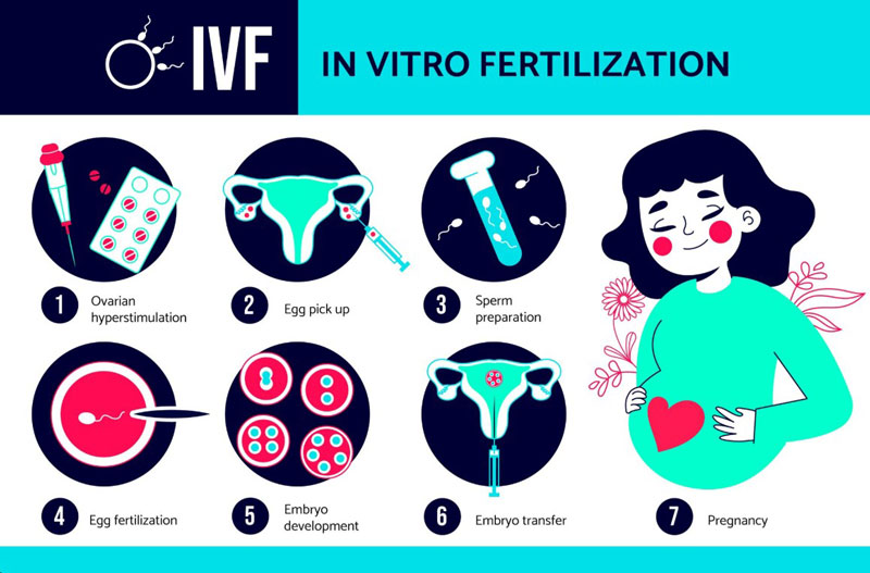 Quá trình chuyển phôi quyết định đến kết quả thụ tinh trong ống nghiệm